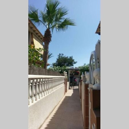 Apartamento La casa de la Palmera Torrevieja Exterior foto