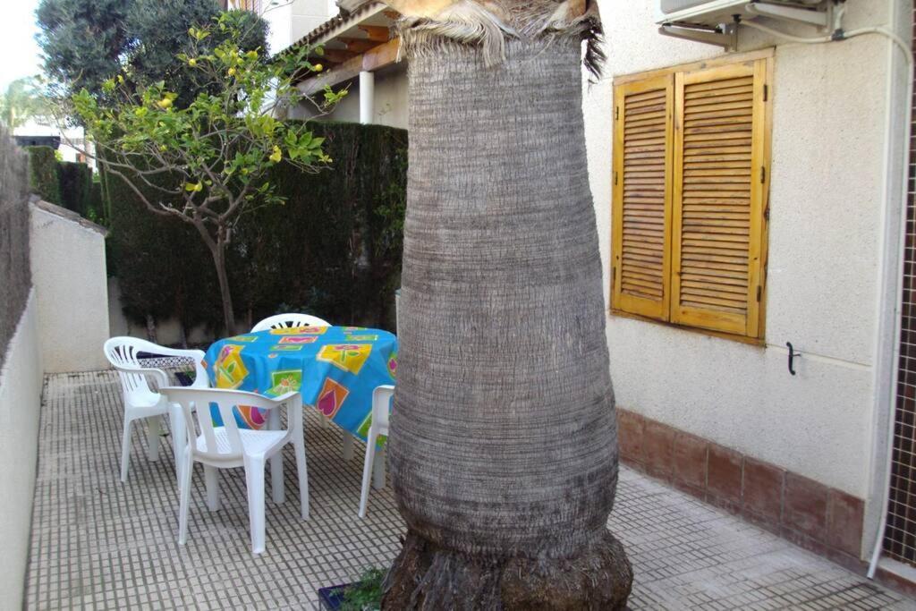 Apartamento La casa de la Palmera Torrevieja Exterior foto
